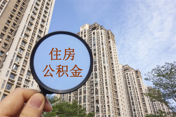 福鼎帮取离职公积金（帮忙取公积金怎么收费）